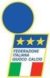 gestionale FIGC italy-football-federation